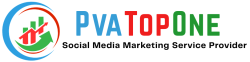 PvaTopOne-Top Quality Social Service Provider